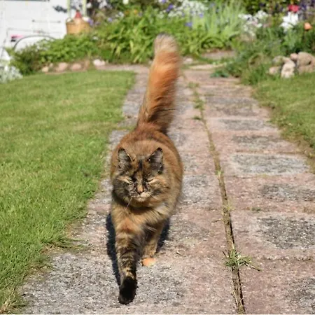 Chambres D'hotes L'envol Oda ve Kahvaltı 2*