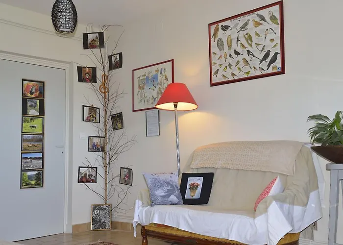 飞翔住宿加早餐旅馆 住宿加早餐酒店 2*