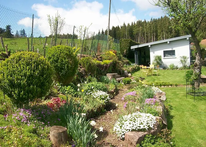 飞翔住宿加早餐旅馆 2* Vecoux