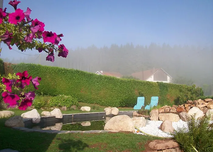 飞翔住宿加早餐旅馆 Vecoux