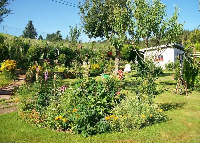 住宿加早餐酒店 飞翔住宿加早餐旅馆 2*