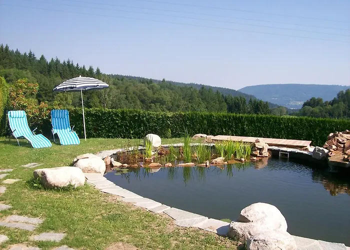 住宿加早餐酒店 飞翔住宿加早餐旅馆 Vecoux