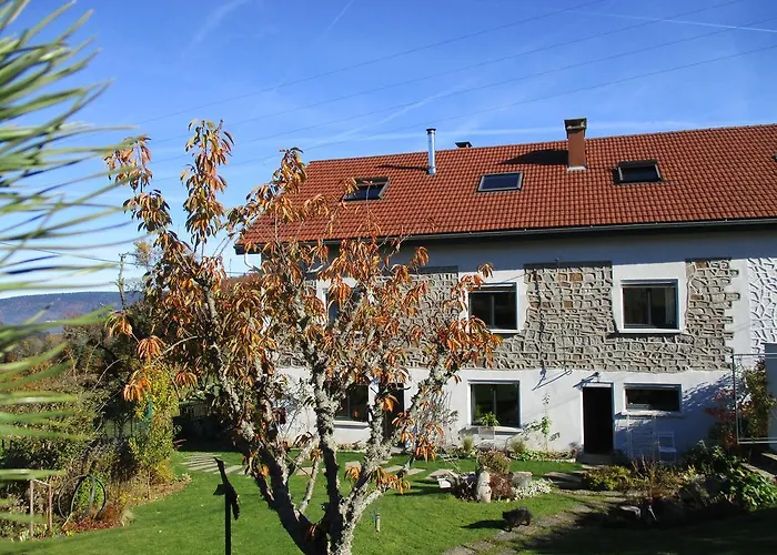 住宿加早餐酒店 飞翔住宿加早餐旅馆 2*