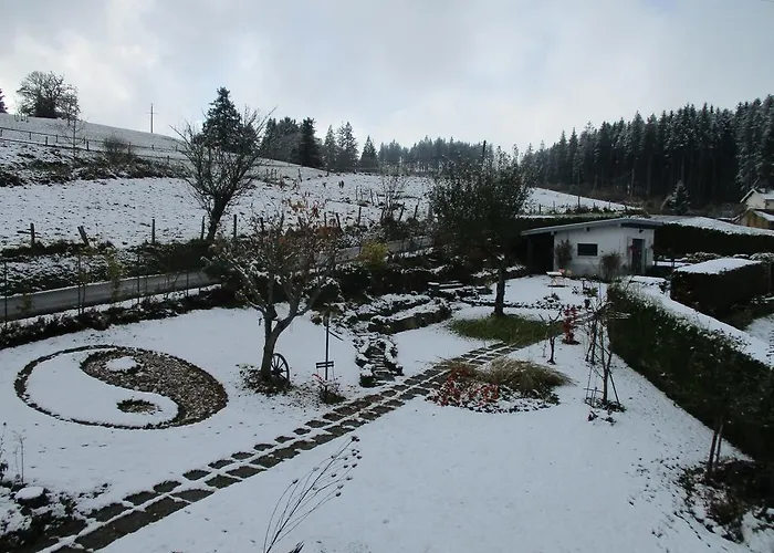 飞翔住宿加早餐旅馆 Vecoux