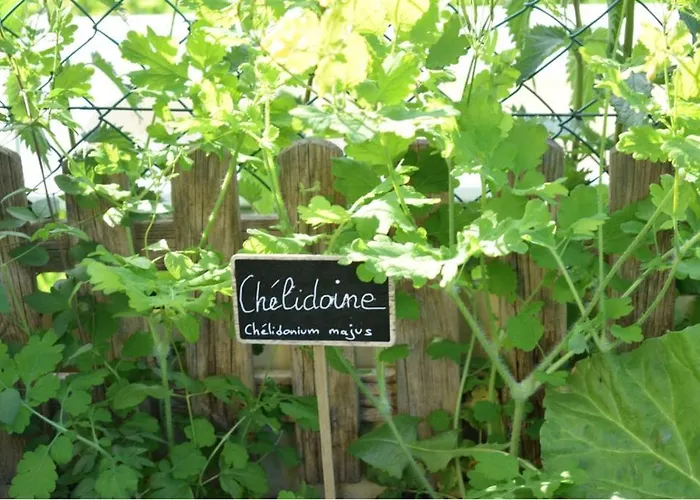 飞翔住宿加早餐旅馆 2* Vecoux