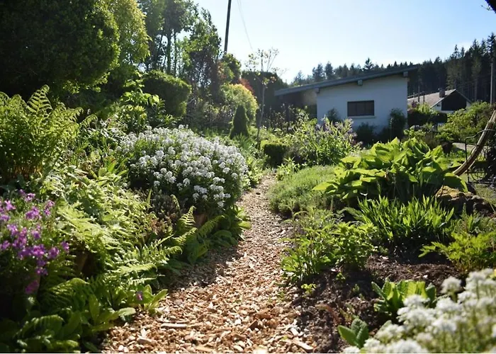 飞翔住宿加早餐旅馆 Vecoux
